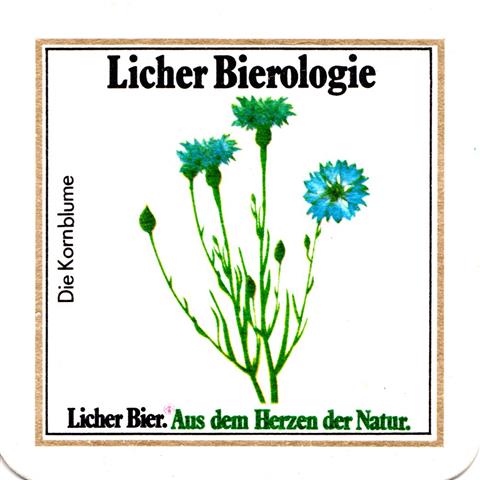 lich gi-he licher biero blu eckig 7b (quad180-die kornblume)